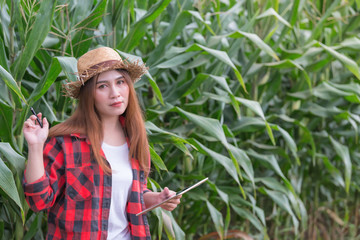 Asian Cheerful female farmer at corn farm,Check of agricultural product,Thailand people,Near the harvest season