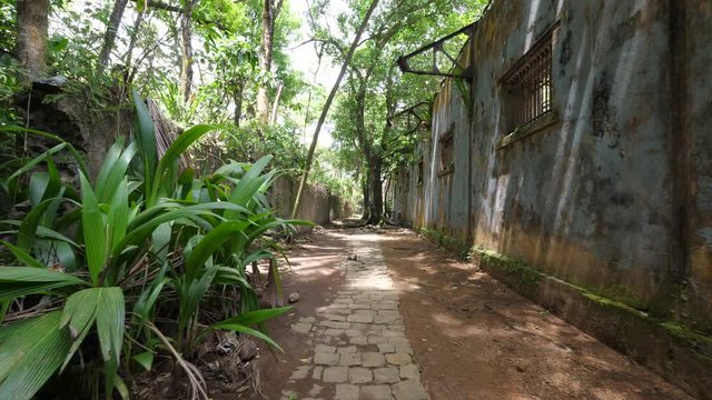 Walking on a path in Saint Joseph Island penal colony French Guiana, solitary confinement 