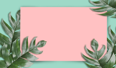 Tropical palm leaves with empty paper for your design  Minimal nature. Summer Styled. Flat lay, Original dimensions 6480 X 3780 pixels