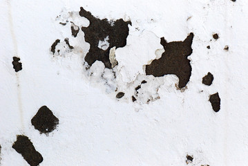 DETALLE DE UN DESCONCHADO