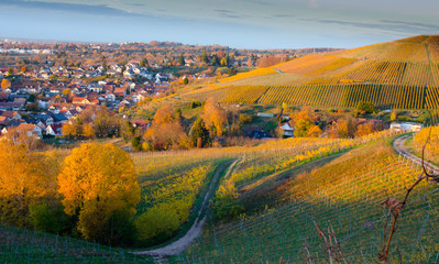 Blick auf Ortenberg bei Offenburg