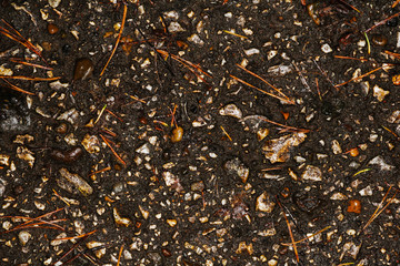 Texture of dirty crude asphalt with stones.