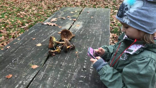 Little girl taking picture of mushrooms collected in the forest.
