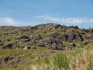 Fototapeta na wymiar Schafe in der felsigen Landschaft am Healy Pass
