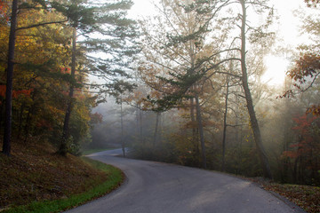 Misty Fall Morning