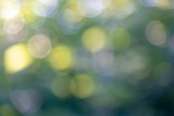 Yellow and blue bokeh circles on a blurred natural green background. Beautiful layout for your ideas