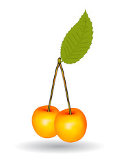 Two yellow cherries with a leaf (Vector illustration).Ai10