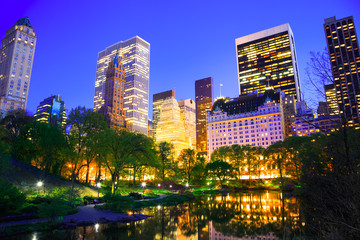 Central Park at night in Manhattan, New York City 