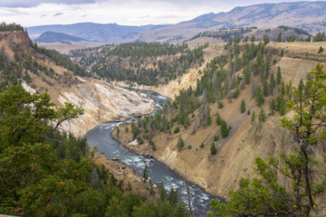 Fototapeta na wymiar River in the Valley.Nature scenery of beautiful Yellowstone national park in Wyoming