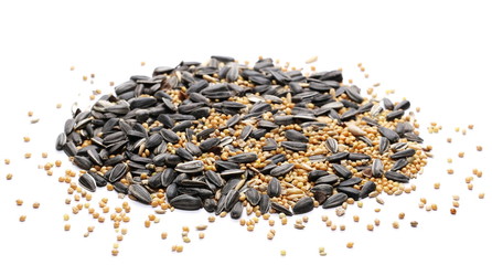 Mixed seeds, sunflower, millet, hemp, oats pile and minerals for exotic birds, parrots. Isolated on white background