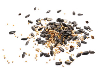 Mixed seeds, sunflower, millet, hemp, oats pile and minerals for exotic birds, parrots. Isolated on white background