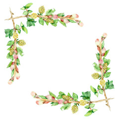 Watercolor willow branches on white background for beautiful design, willow for Easter