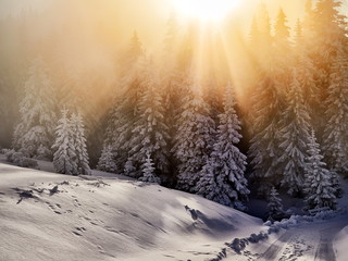 winter landscape with trees and mountains covered with snow and frost at sunrise