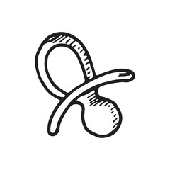 pacifier baby icon sketch vector isolated