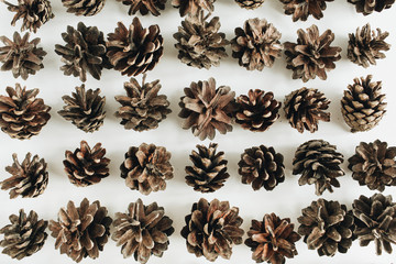 Pine cones pattern on white background. Flat lay, top view winter composition.