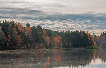 Jesień nad jeziorem.
