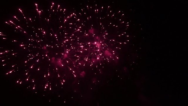 Bright colorful fireworks turn to multicolor bokeh lights at holiday dark summer night.