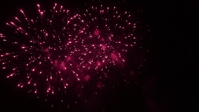 Bright colorful fireworks turn to multicolor bokeh lights at holiday dark summer night.