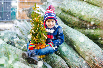 Adorable little smiling kid boy holding Christmas tree on market. Happy healthy child in winter fashion clothes choosing and buying big Xmas tree in outdoor shop. Family, tradition, celebration.