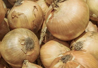 Оnions