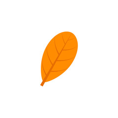 obovate maple leaf flat icon