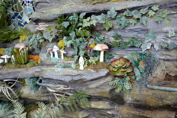 Leaves and mushrooms on rocks