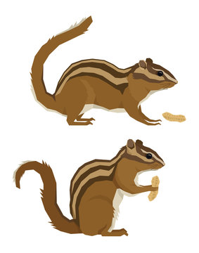 Forest Wildlife Vector animals Geometric style Chipmunks and peanuts