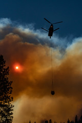 Fototapeta na wymiar Destruction in Paradise, California Wildfire 