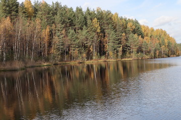 lake in forest