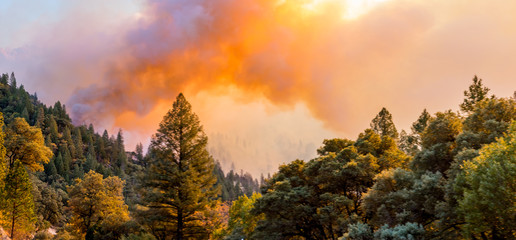 Fototapeta premium Destruction in Paradise, California Wildfire 