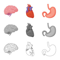Vector design of body and human logo. Set of body and medical stock vector illustration.