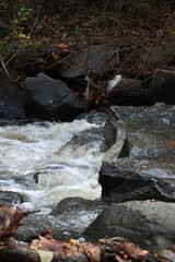 Water fall