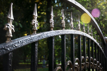 Fence of the city Park on backgrounds of green trees