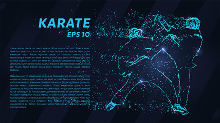 Karate of blue glowing dots. Particle karate.