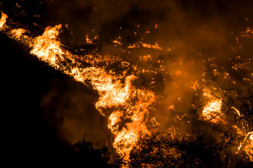 Close Up Detail Wildfire Burning Brush Hillside California Woolsey Fire