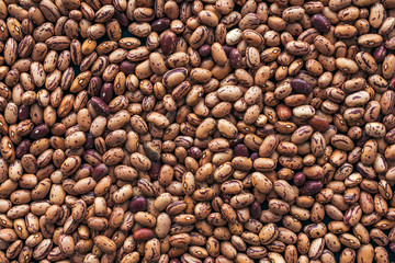 Pinto bean from above