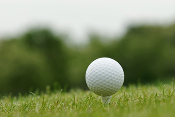 Golf ball