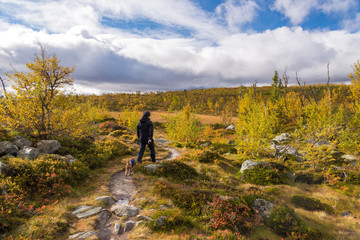 Fototapeta premium woman walking in mountains