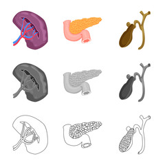 Vector design of body and human symbol. Collection of body and medical stock vector illustration.