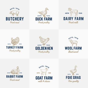 Domestic Animals and Poultry Retro Vector Logo Templates Set. Hand Drawn Vintage Cattle and Birds Sketches with Vintage Typography. Pig, Cow, Chicken, Rabbit, Turkey, etc. Isolated Labels Collection
