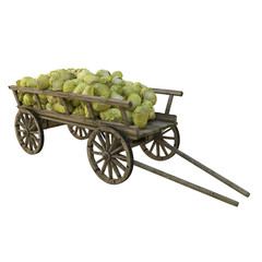 Wooden cart with cabbage