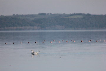 bracciano