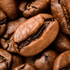 coffee beans close-up.