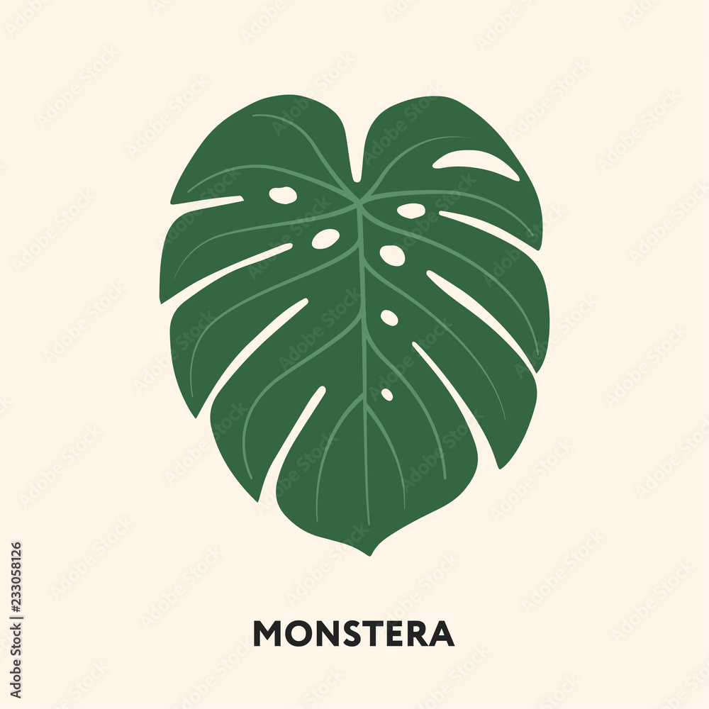 Wall mural monstera tropical jungle plant green big palm leaf. flat vector illustration isolated on white.