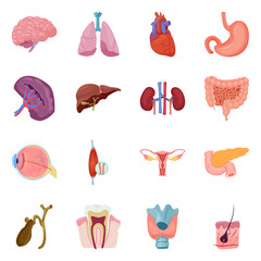 Vector illustration of body and human symbol. Collection of body and medical vector icon for stock.