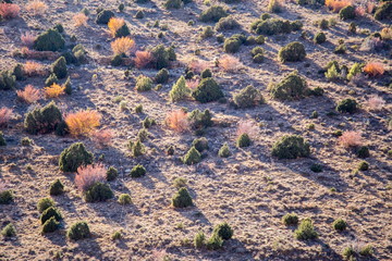 Autumn country  Maestrazgo county Teruel Aragon Spain