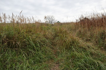 Fototapeta premium Autumn pictures the Leningrad region