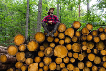 Fototapety na wymiar - Fototapeta24.pl