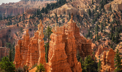 Bryce Canyon - on the Fairyland Loop Trail