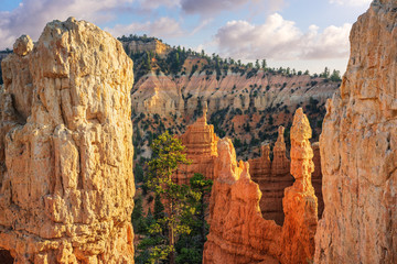 Bryce Canyon - Late evening on the Fairyland Loop Trail